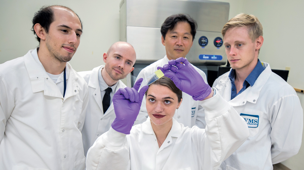 Macrophages may also play a role in supporting cancer cells, says Dr. Woong-Ki Kim (standing second from right) with his research team, from left, Jacques Fair (MD Class of 2024); Derek Irons, Research Assistant; Diana Bohannon (Biomedical Sciences PhD Candidate Class of 2019); and Julian Hattler, Research Assistant.